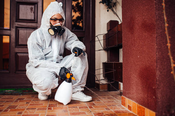 Reliable Rodent Control contractor in Carlyss, LA by Nex Pest Control