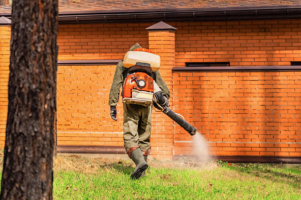 Trusted Termite Control service in Carlyss, LA - Nex Pest Control